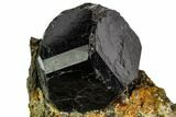 Black Dravite Crystals on Rock - New York #110359-1